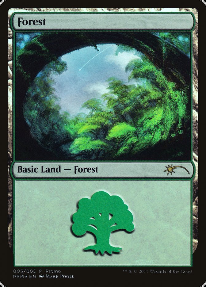 Magic the Gathering Card - Forest - MTG Circle