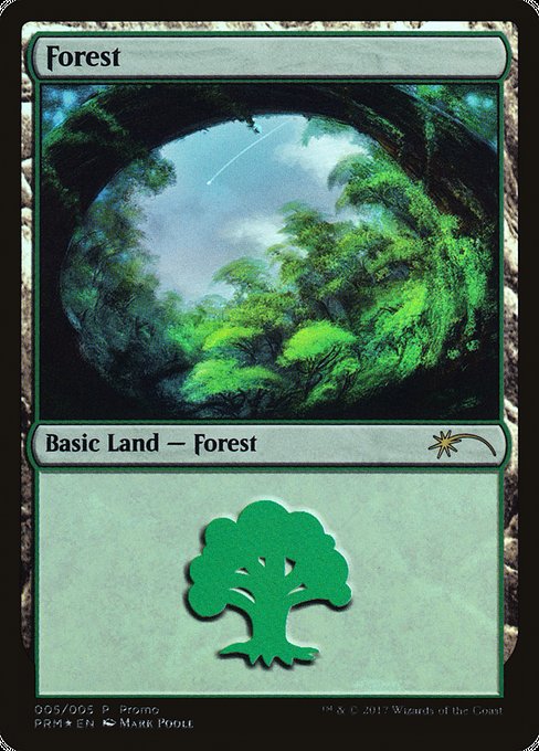 Magic the Gathering Card - Forest - MTG Circle