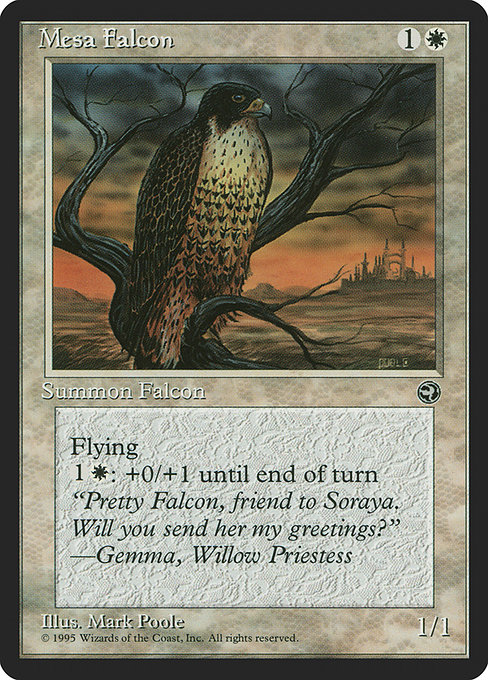 Magic the Gathering Card - Mesa Falcon - MTG Circle