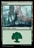 Magic the Gathering Card - Forest - MTG Circle