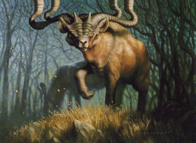 Grazing Gladehart
