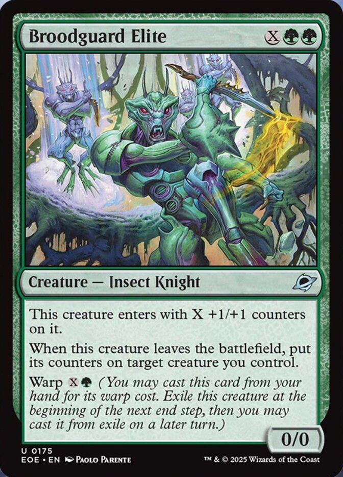 Magic the Gathering Card - Broodguard Elite - MTG Circle