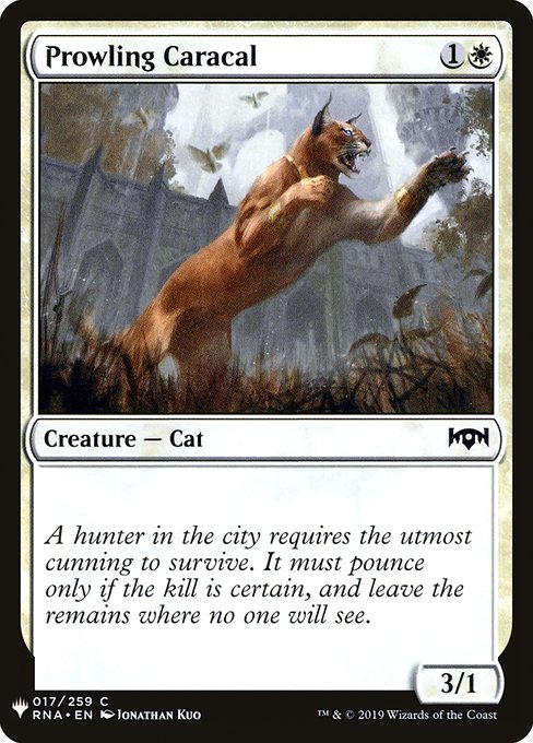 Magic the Gathering Card - Prowling Caracal - MTG Circle