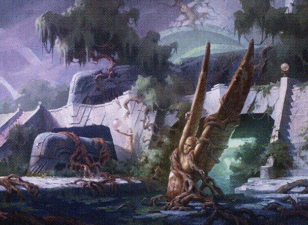 Swamp
