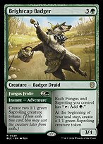 Magic the Gathering Card - Brightcap Badger // Fungus Frolic - MTG Circle