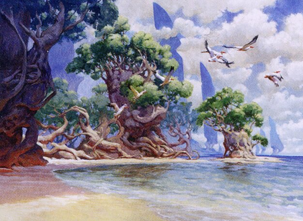 Yavimaya Coast