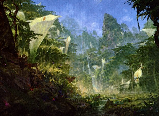 Sunpetal Grove