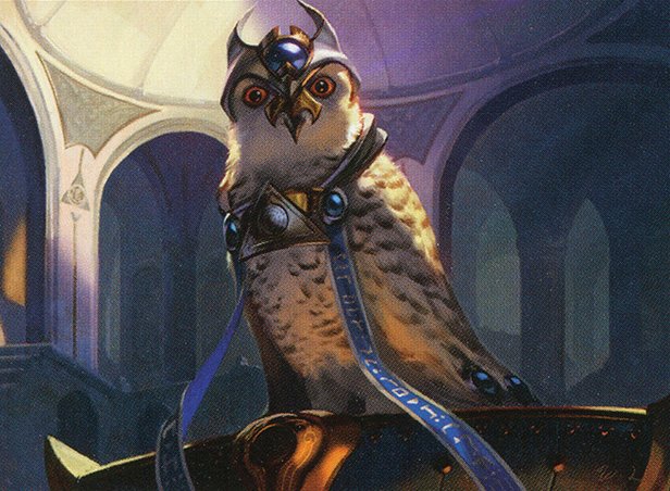 Judge's Familiar