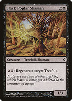 Magic the Gathering Card - Black Poplar Shaman - MTG Circle