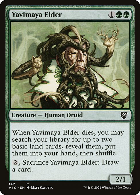 Magic the Gathering Card - Yavimaya Elder - MTG Circle
