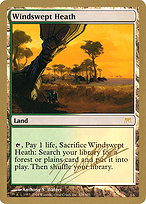 Magic the Gathering Card - Windswept Heath - MTG Circle