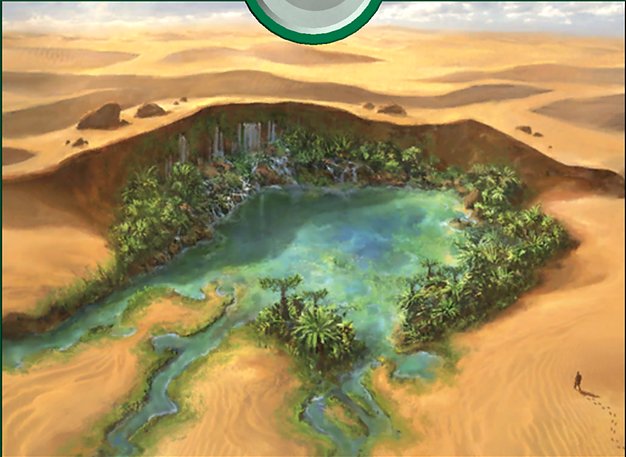 Hashep Oasis