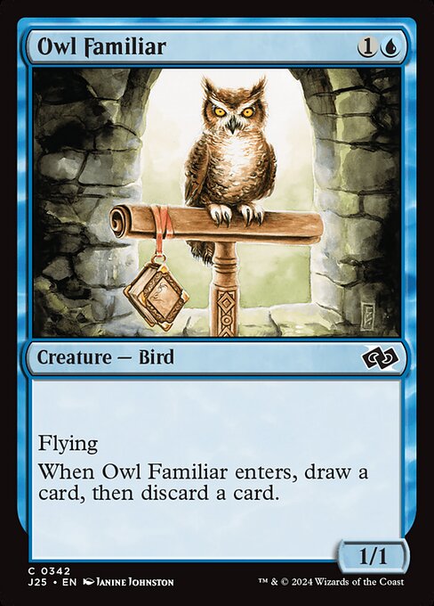 Magic the Gathering Card - Owl Familiar - MTG Circle