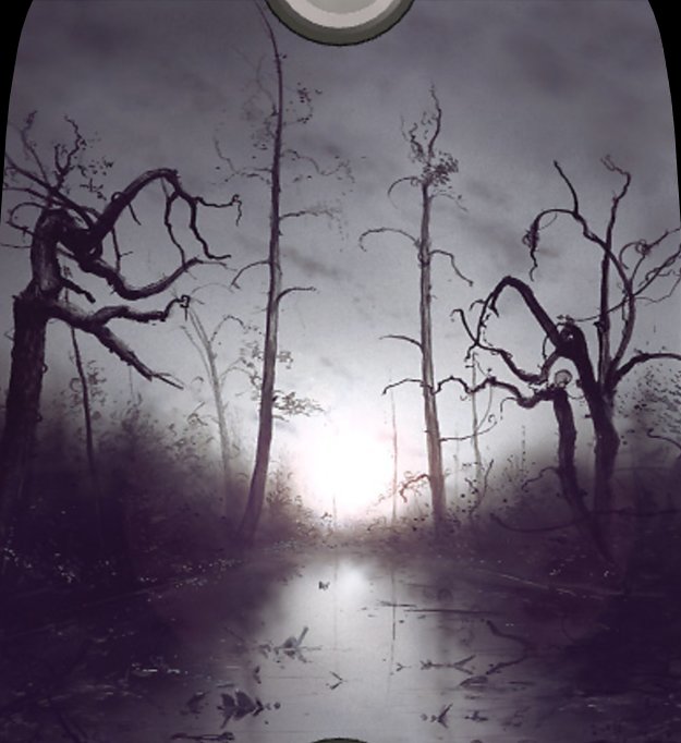 Swamp