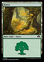 Magic the Gathering Card - Forest - MTG Circle