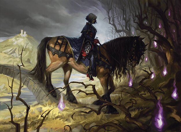 Rowan's Grim Search