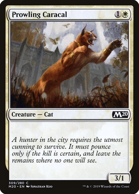 Magic the Gathering Card - Prowling Caracal - MTG Circle