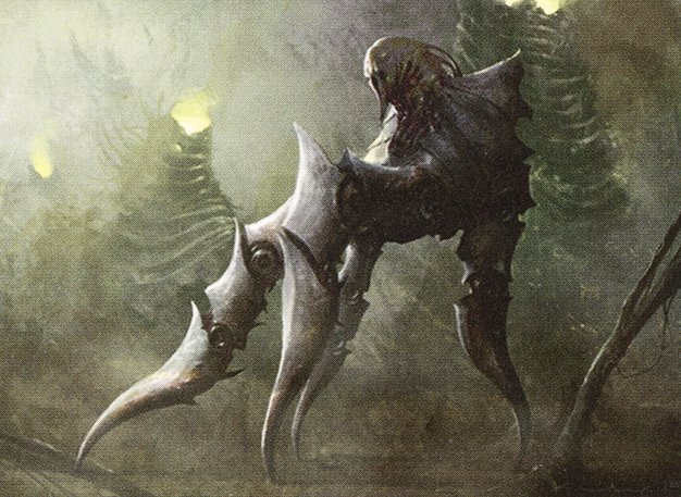 Flayer Husk