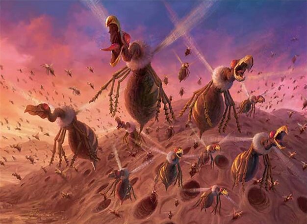 Feed the Swarm