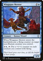 Magic the Gathering Card - Wingspan Mentor - MTG Circle