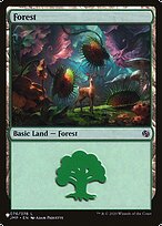 Magic the Gathering Card - Forest - MTG Circle