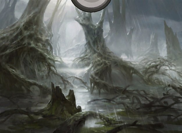 Swamp