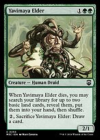 Magic the Gathering Card - Yavimaya Elder - MTG Circle