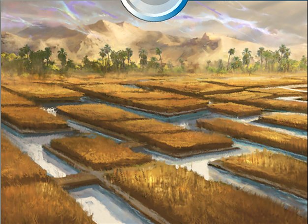 Irrigated Farmland