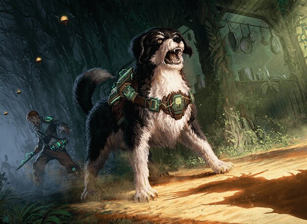 Wary Watchdog
