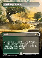 Magic the Gathering Card - Windswept Heath - MTG Circle