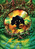 Magic the Gathering Card - Forest // Forest - MTG Circle