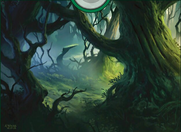 Forest
