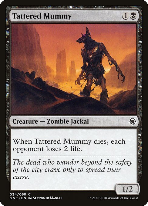 Magic the Gathering Card - Tattered Mummy - MTG Circle