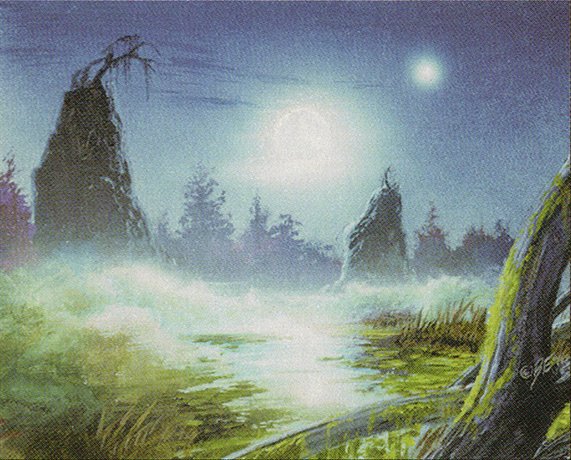 Swamp
