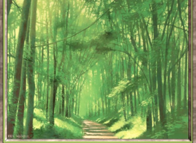 Forest
