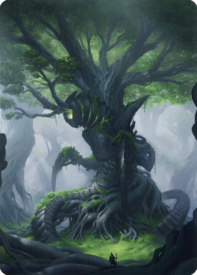Magic the Gathering Card - Forest - MTG Circle