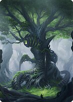 Magic the Gathering Card - Forest // Forest - MTG Circle