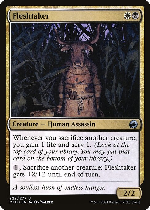 Magic the Gathering Card - Fleshtaker - MTG Circle