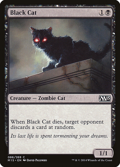 Magic the Gathering Card - Black Cat - MTG Circle