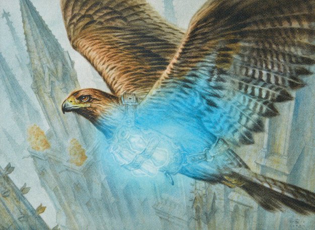 Healer's Hawk