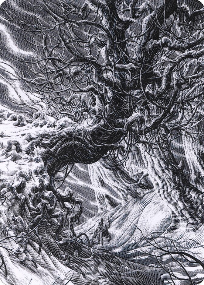 Magic the Gathering Card - Forest - MTG Circle