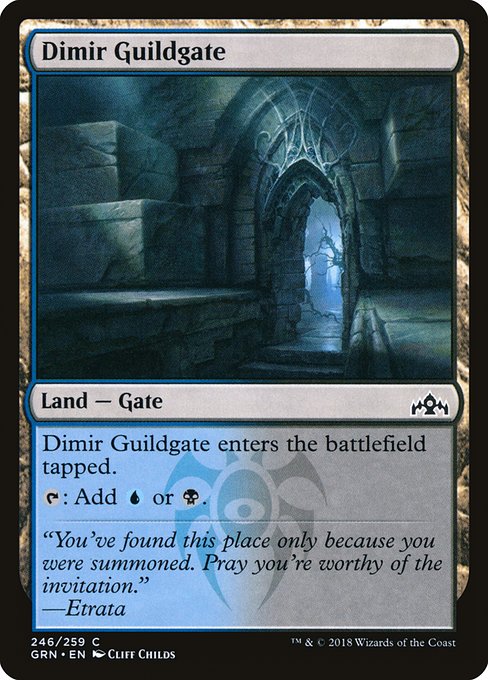 Magic the Gathering Card - Dimir Guildgate - MTG Circle