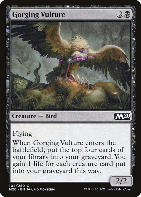Magic the Gathering Card - Gorging Vulture - MTG Circle