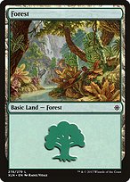Magic the Gathering Card - Forest - MTG Circle