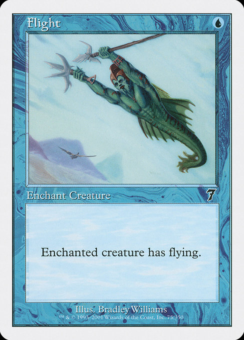 Magic the Gathering Card - Flight - MTG Circle