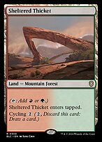 Magic the Gathering Card - Sheltered Thicket - MTG Circle