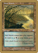 Magic the Gathering Card - Salt Marsh - MTG Circle