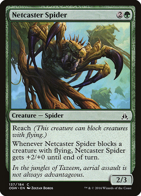 Magic the Gathering Card - Netcaster Spider - MTG Circle