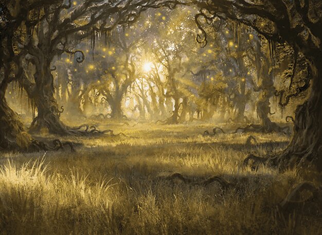Plains