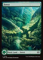 Magic the Gathering Card - Forest - MTG Circle